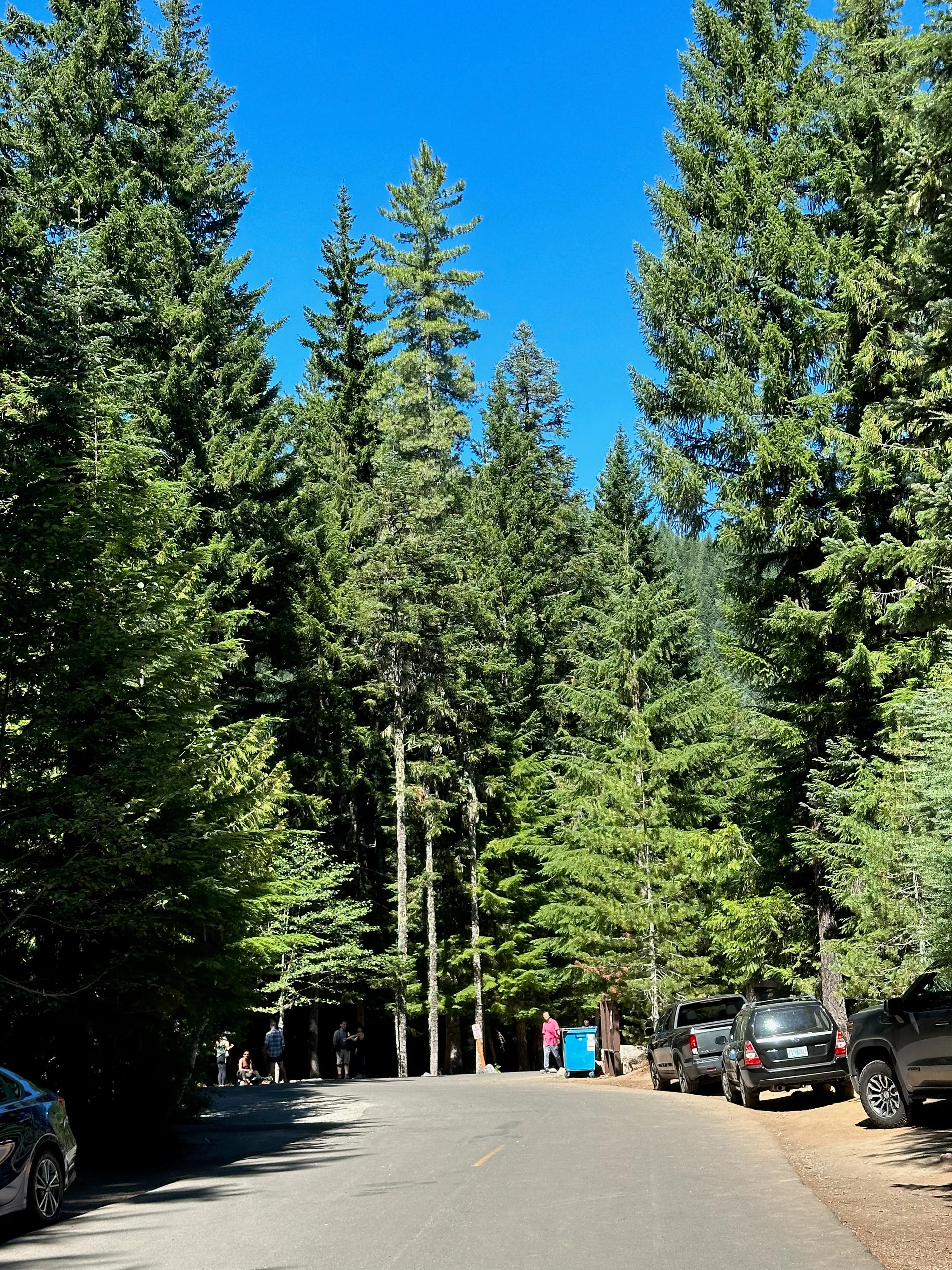 Triilium Lake Day Use Area, United States