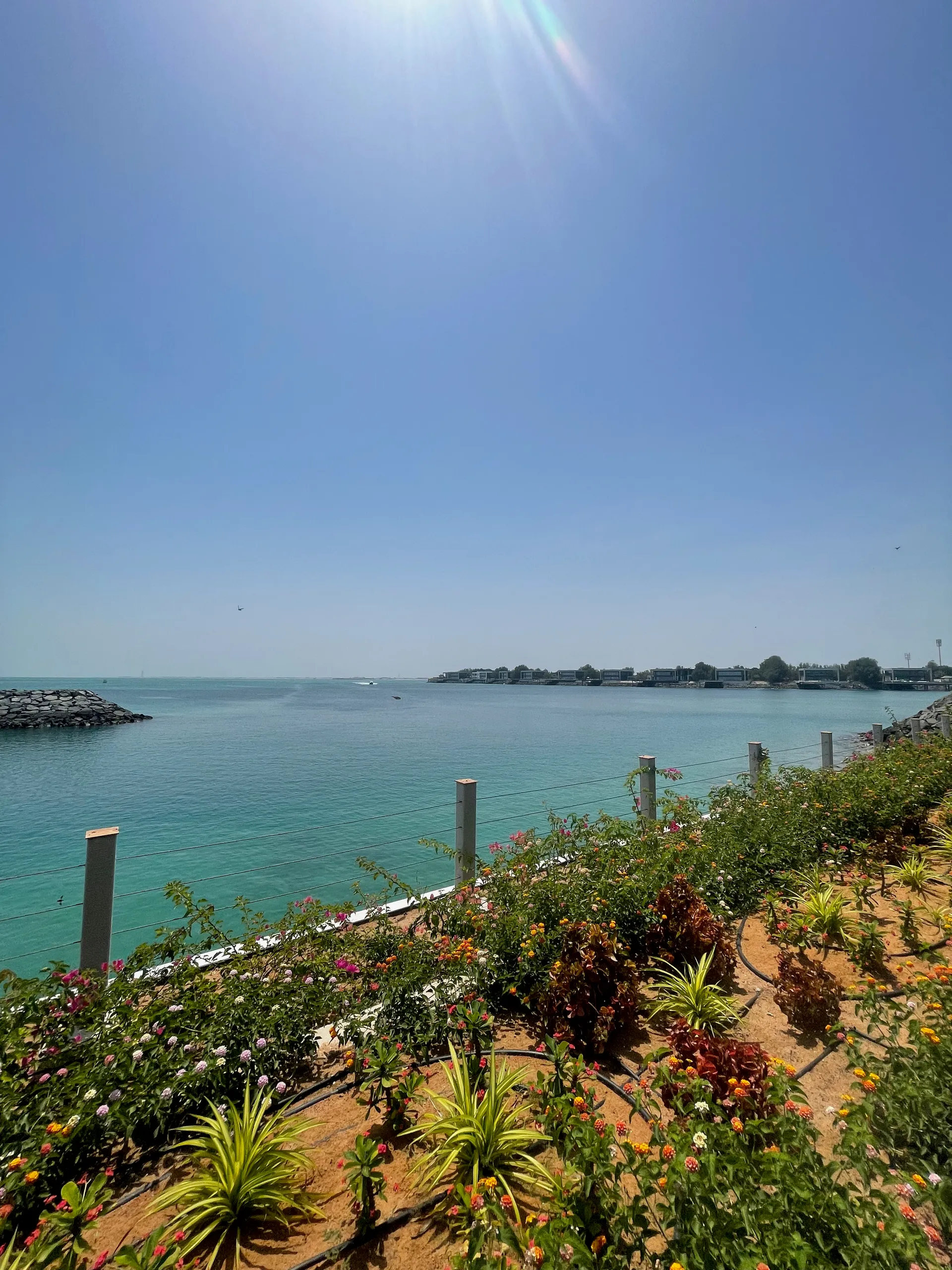 Al Saadiyat Island, United Arab Emirates