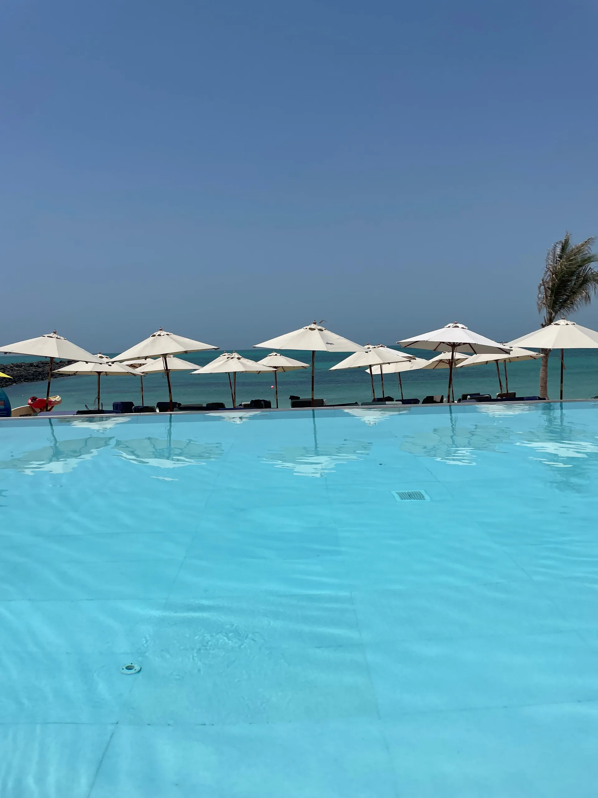 Al Saadiyat Island, United Arab Emirates