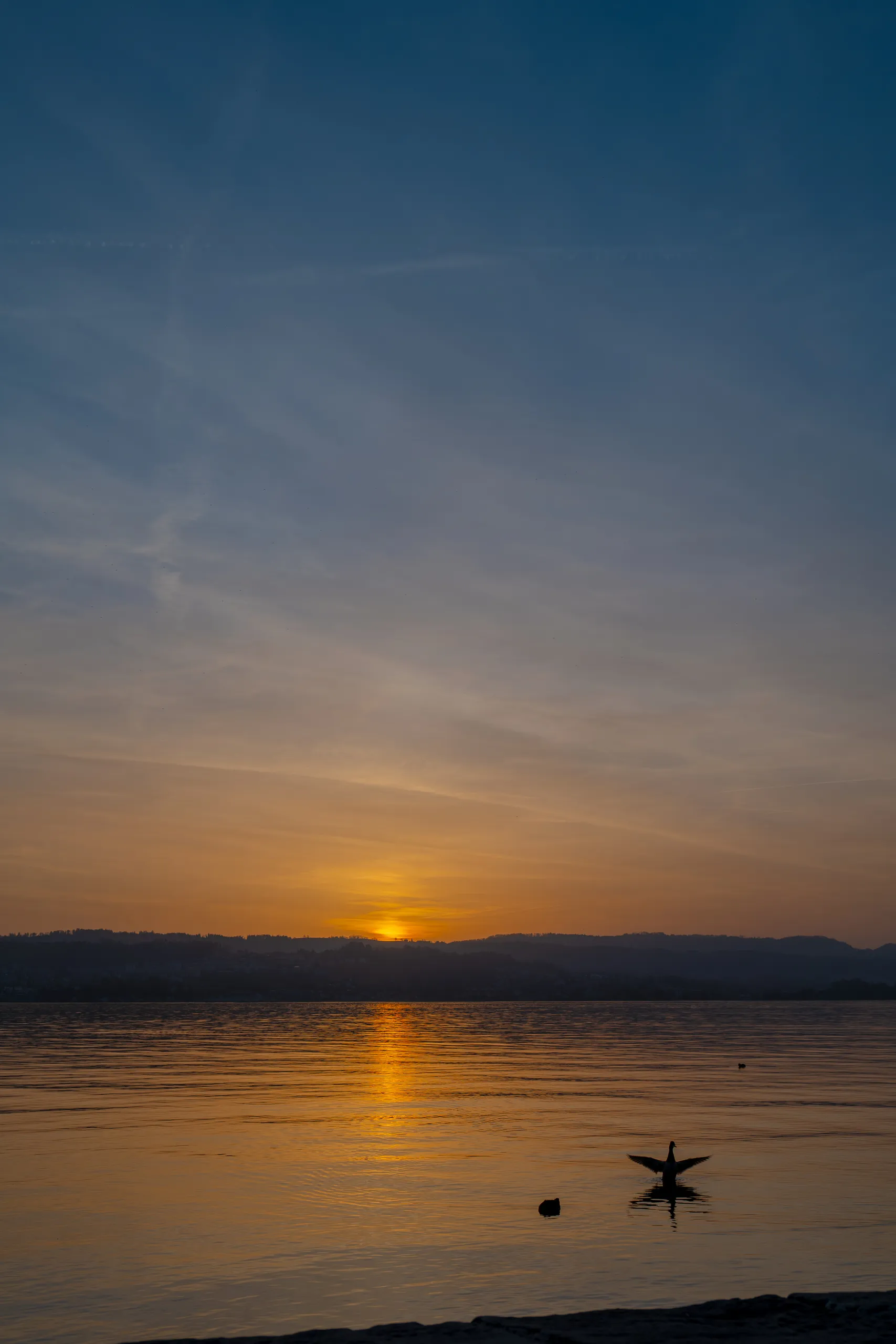 Wädenswil, Switzerland