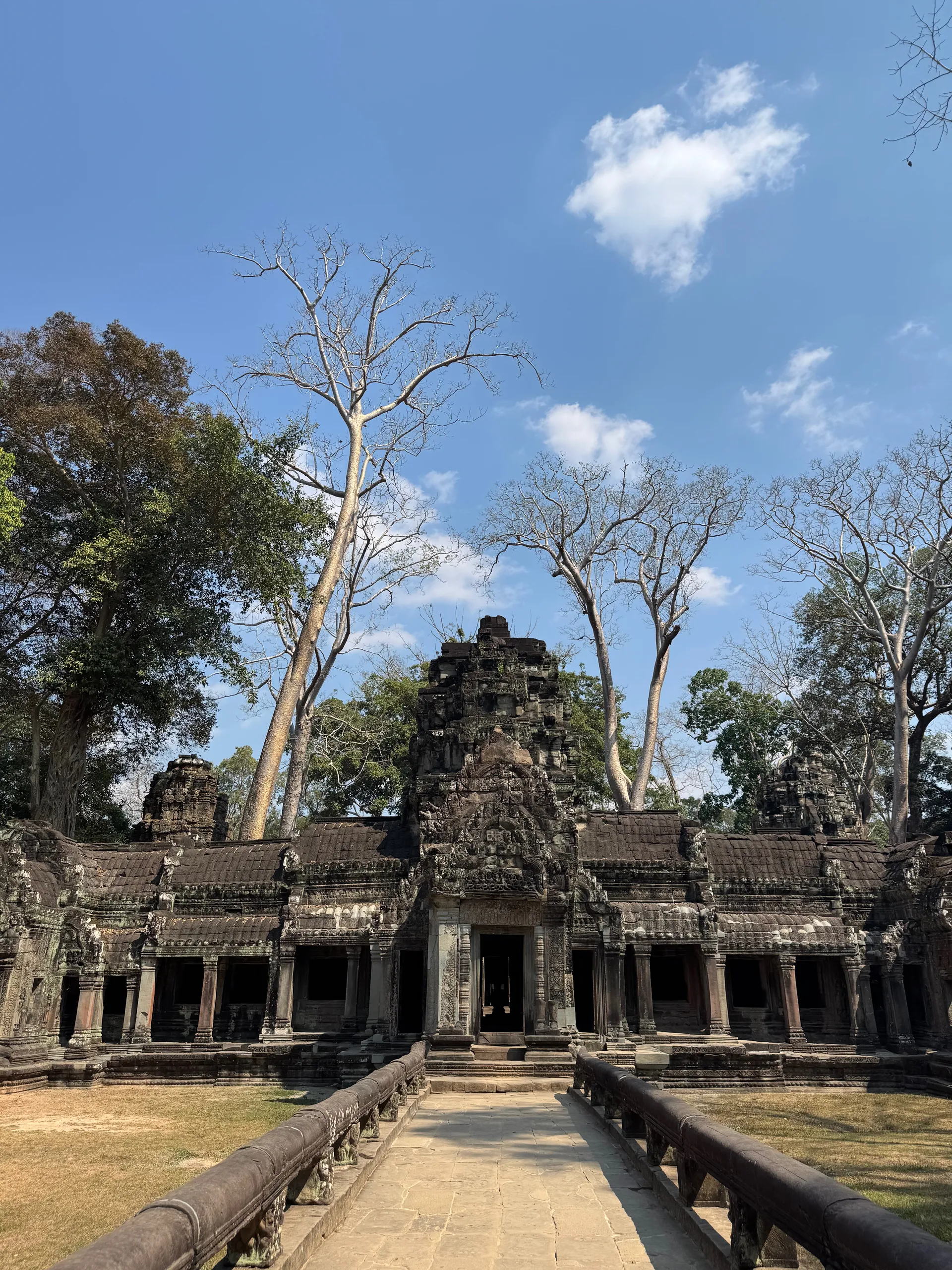 Dinosaur of Ta Prohm bas-relief, Cambodia