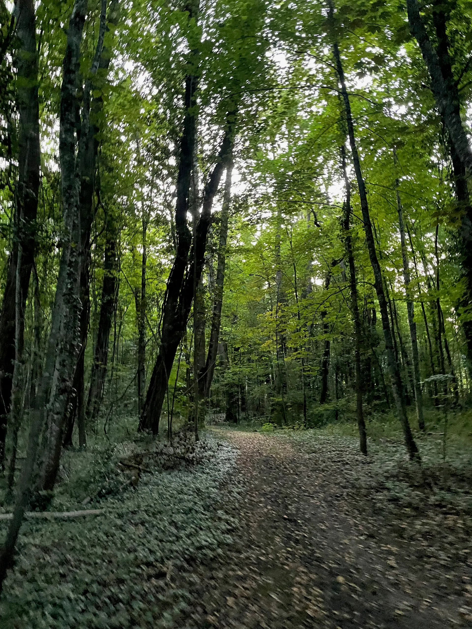 Chemin des Lacustres, Switzerland