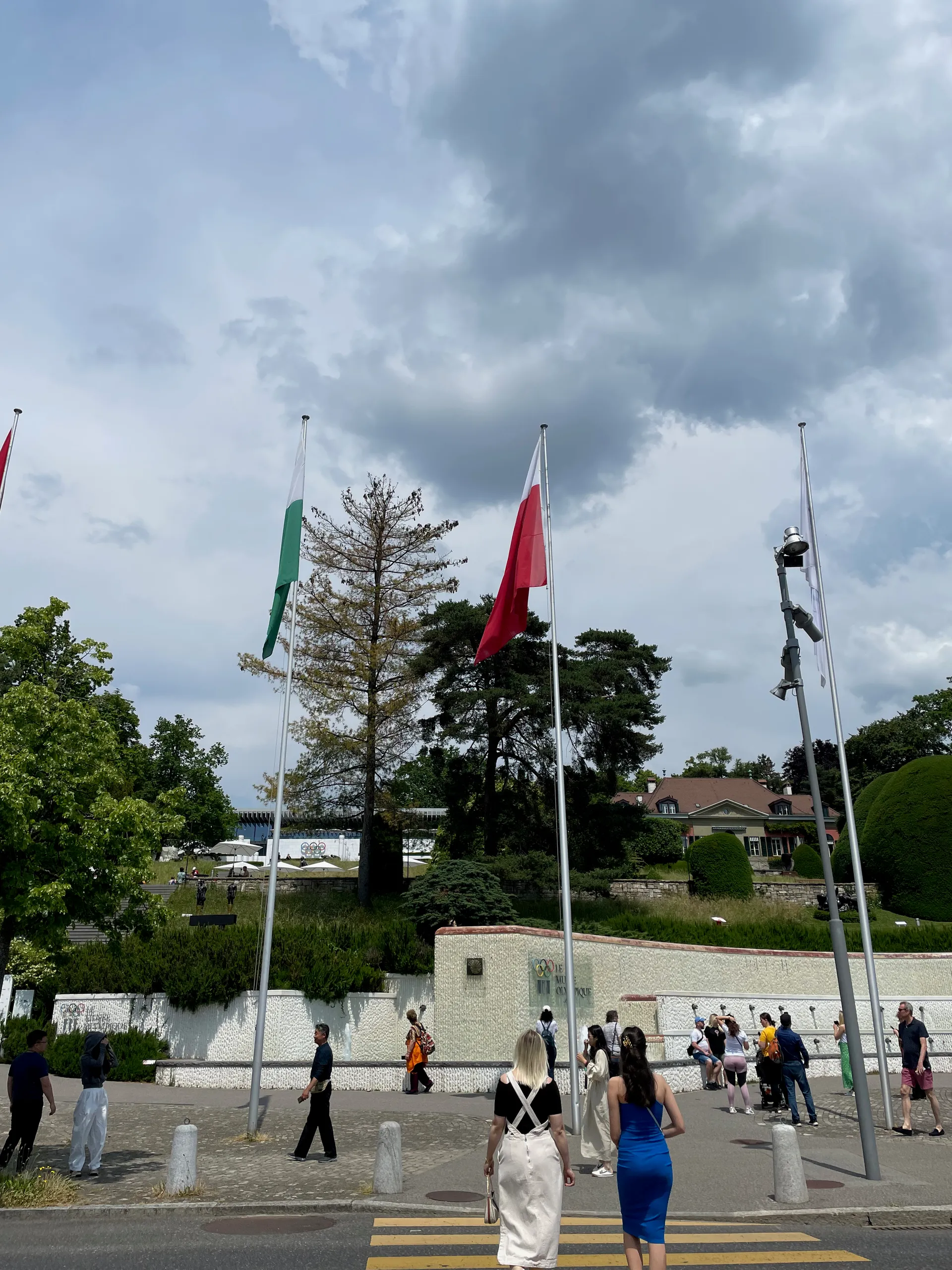 Henri Guisan, Switzerland