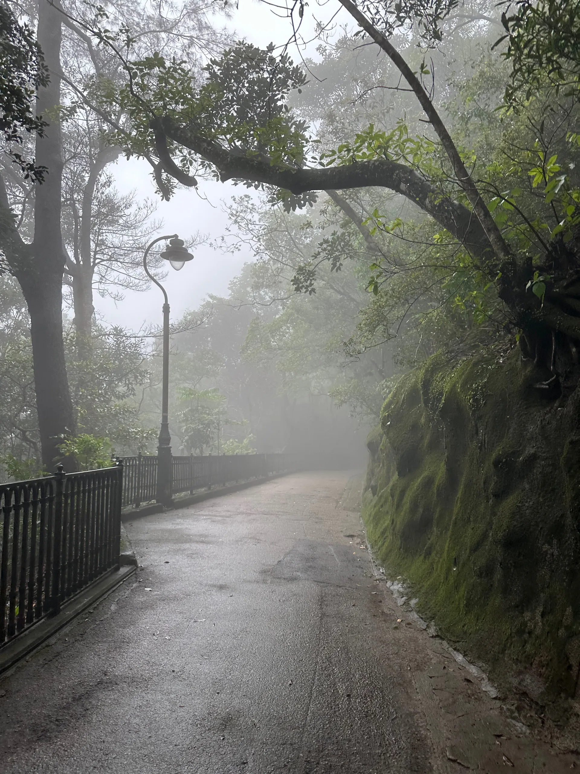 Hong Kong Trail Section 2, China