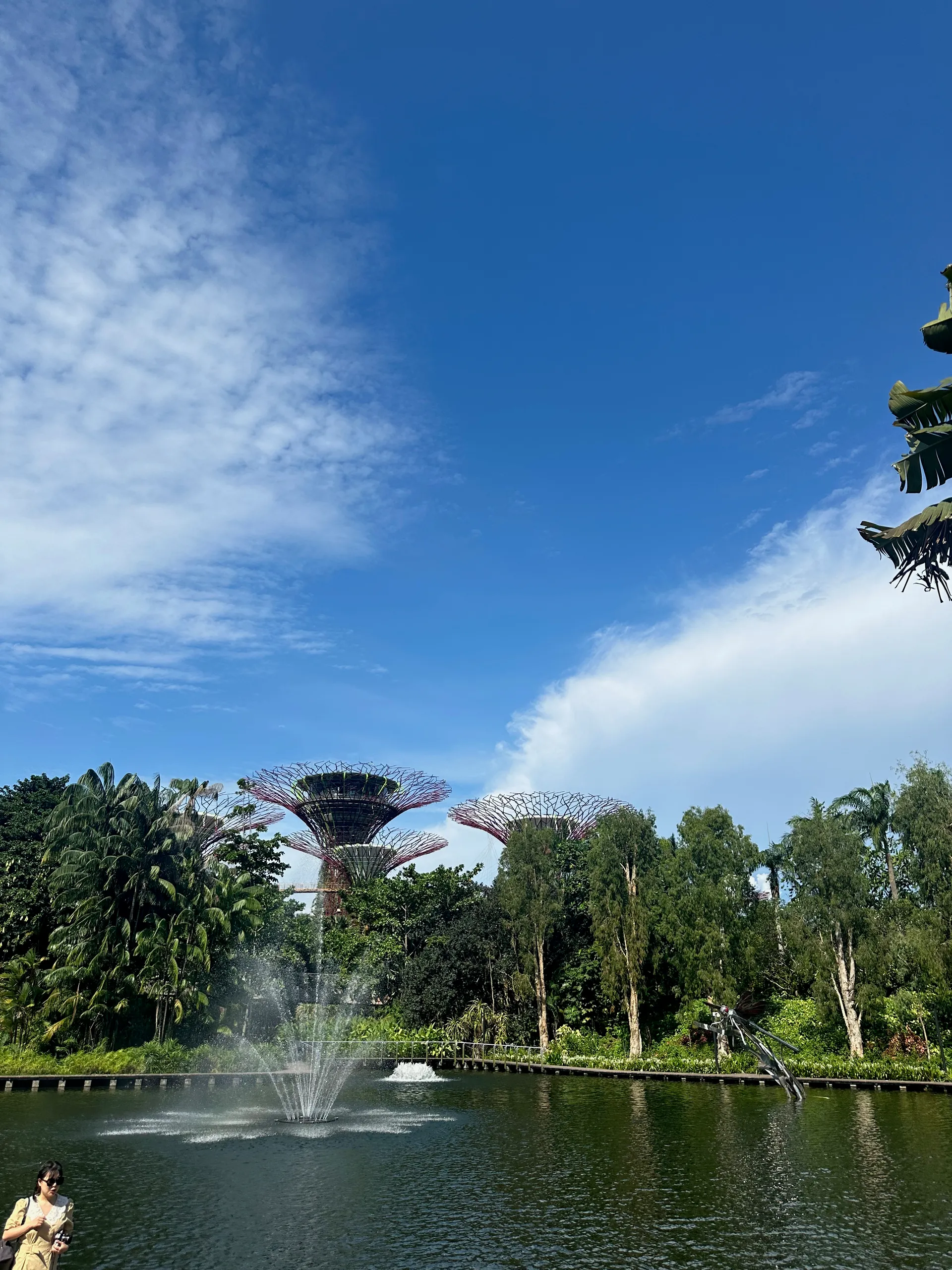 Gardens by the Bay, Singapore