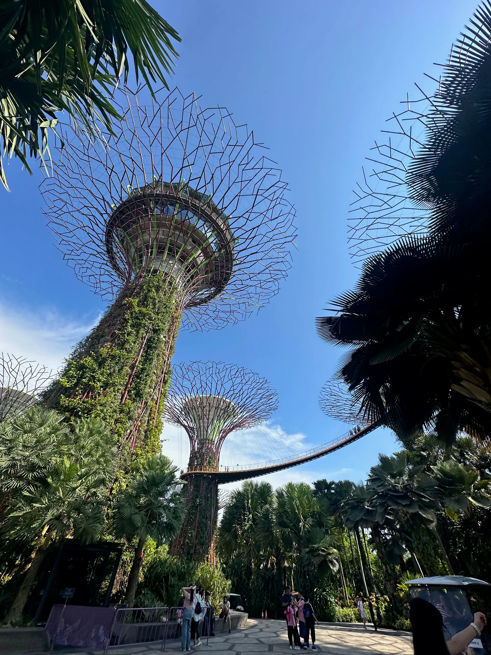 Light Show: Garden Rhapsody, Singapore