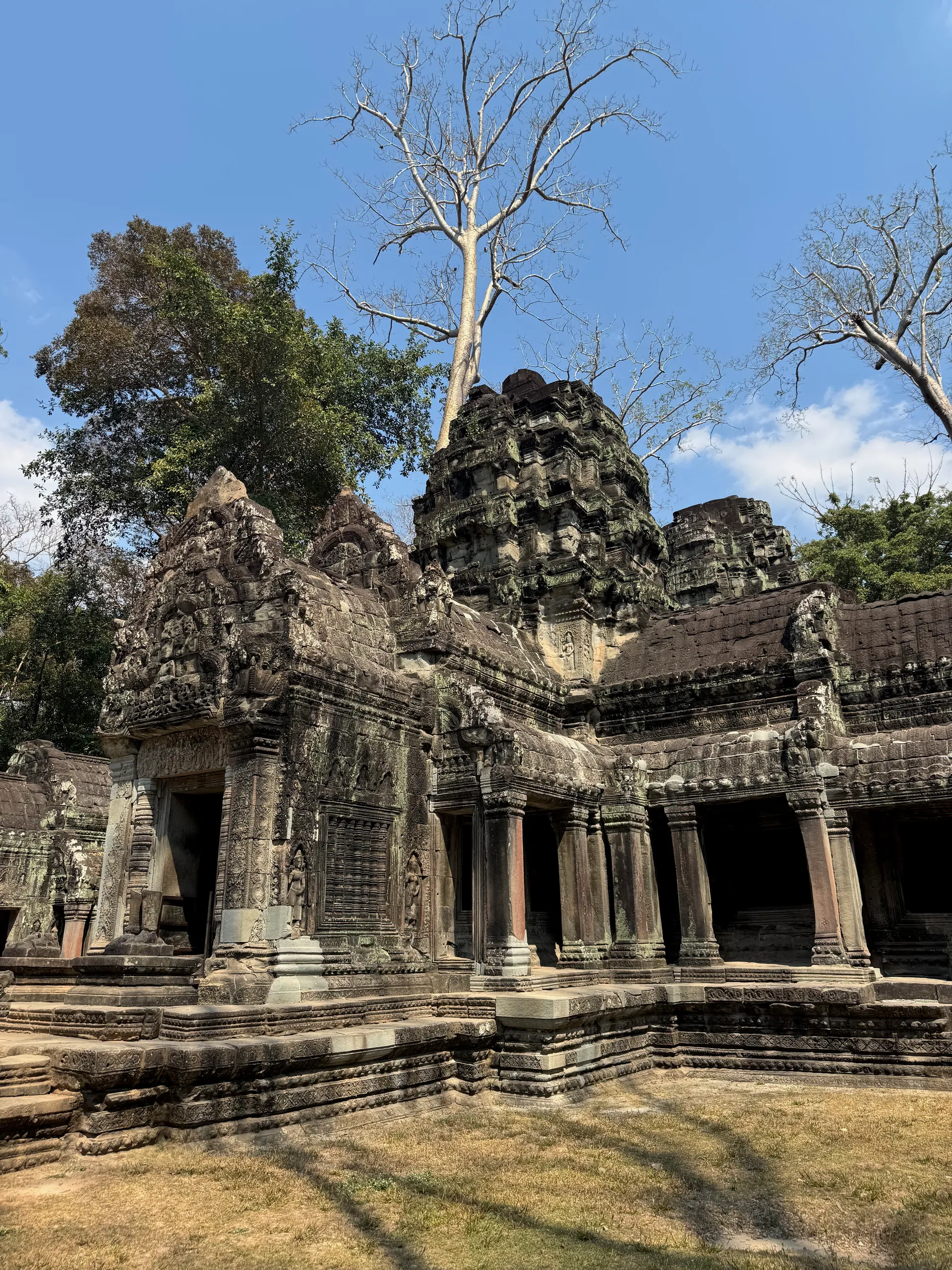 Dinosaur of Ta Prohm bas-relief, Cambodia