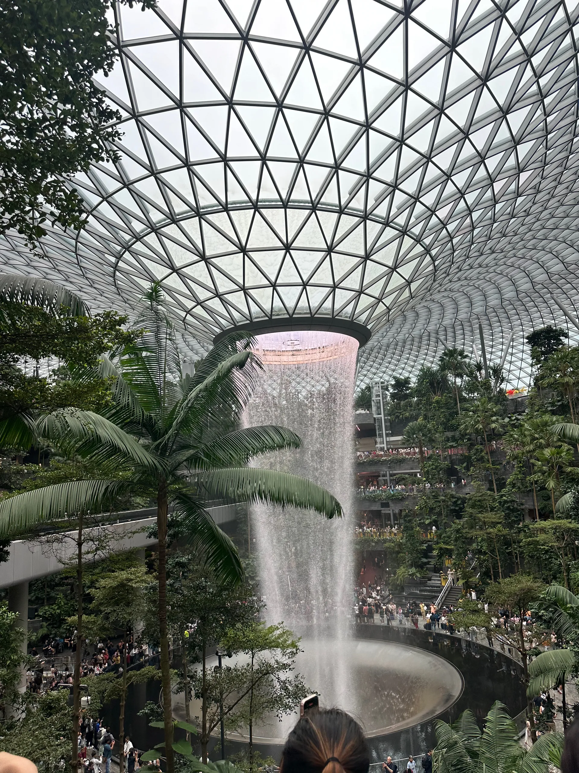 In Good Company, Singapore
