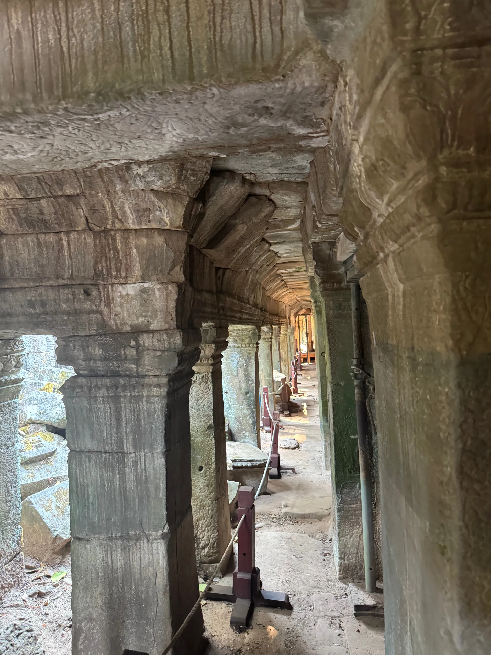 Dinosaur of Ta Prohm bas-relief, Cambodia