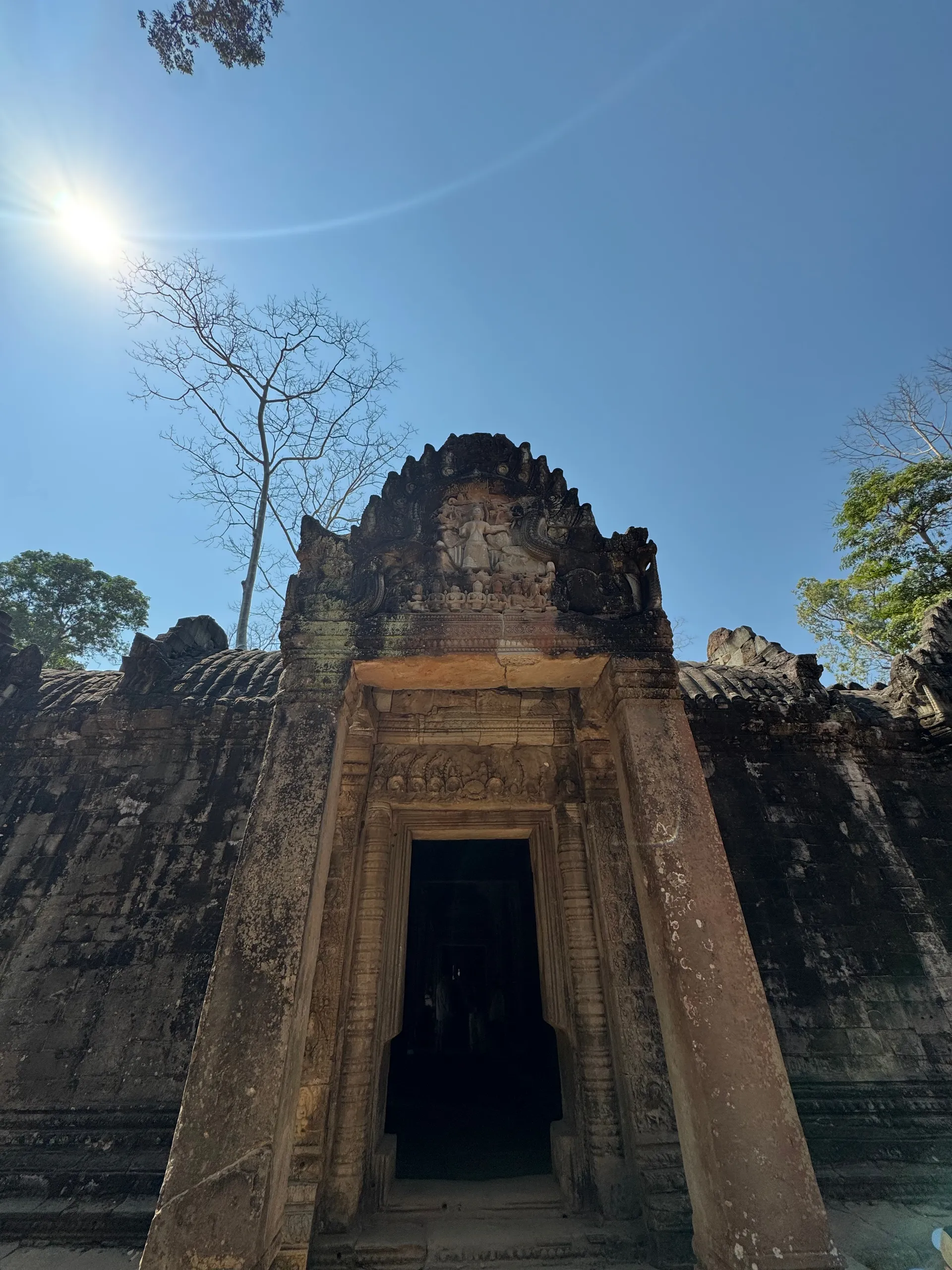 Dinosaur of Ta Prohm bas-relief, Cambodia