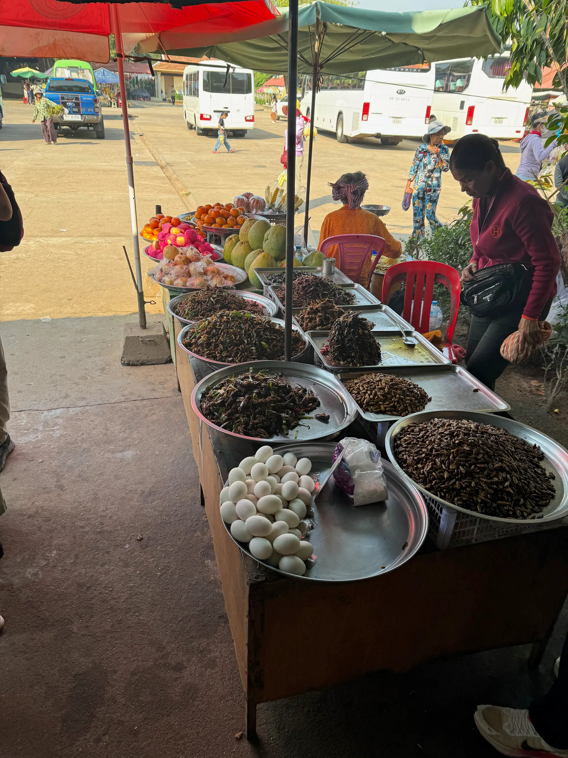Spider Market, Cambodia