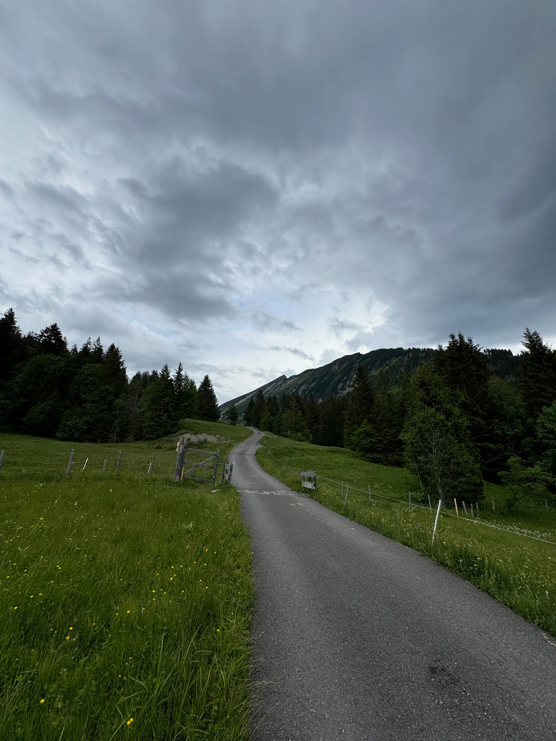 Alpstrasse Looch, Switzerland