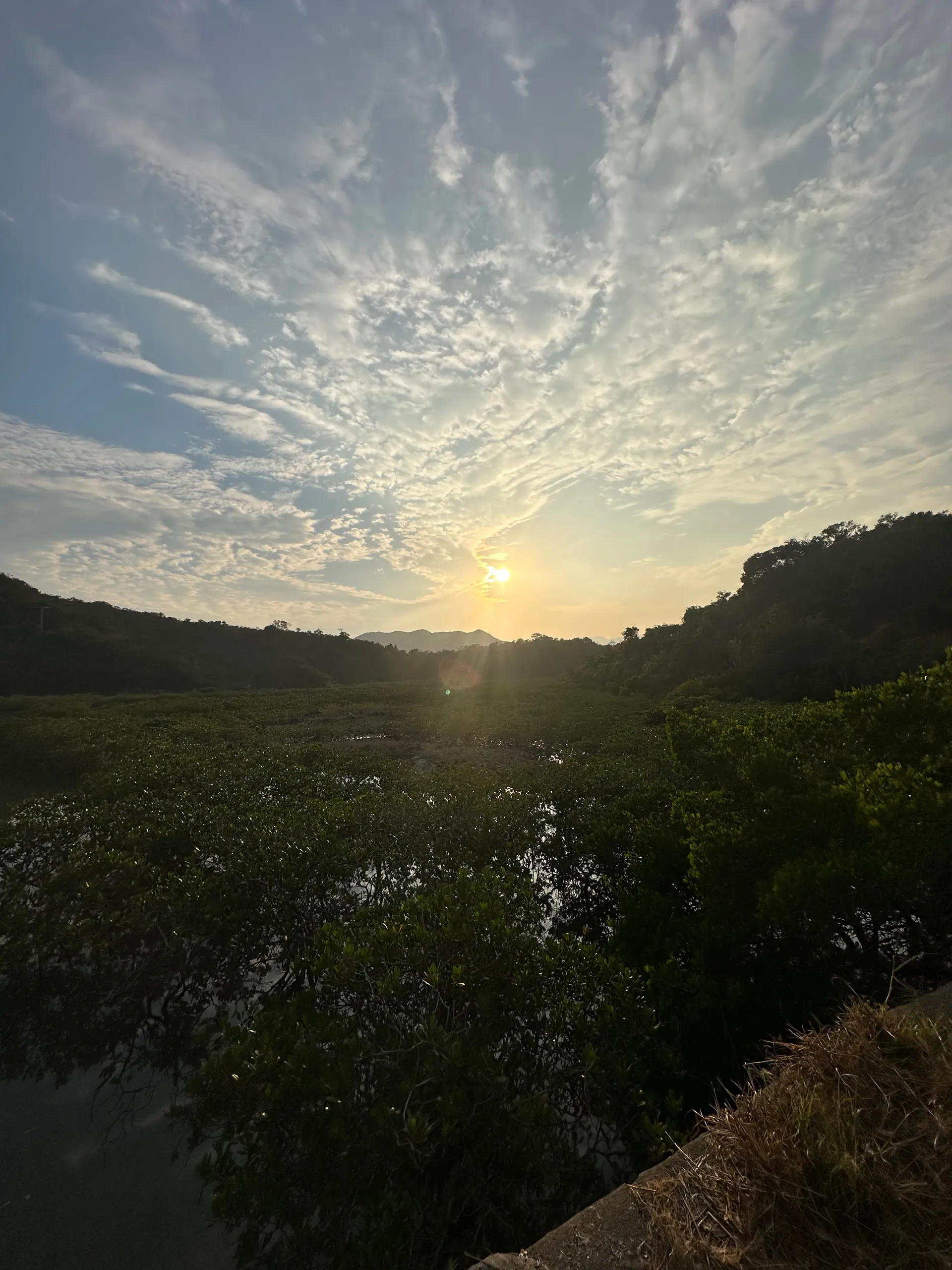 鄉誼茶座, China