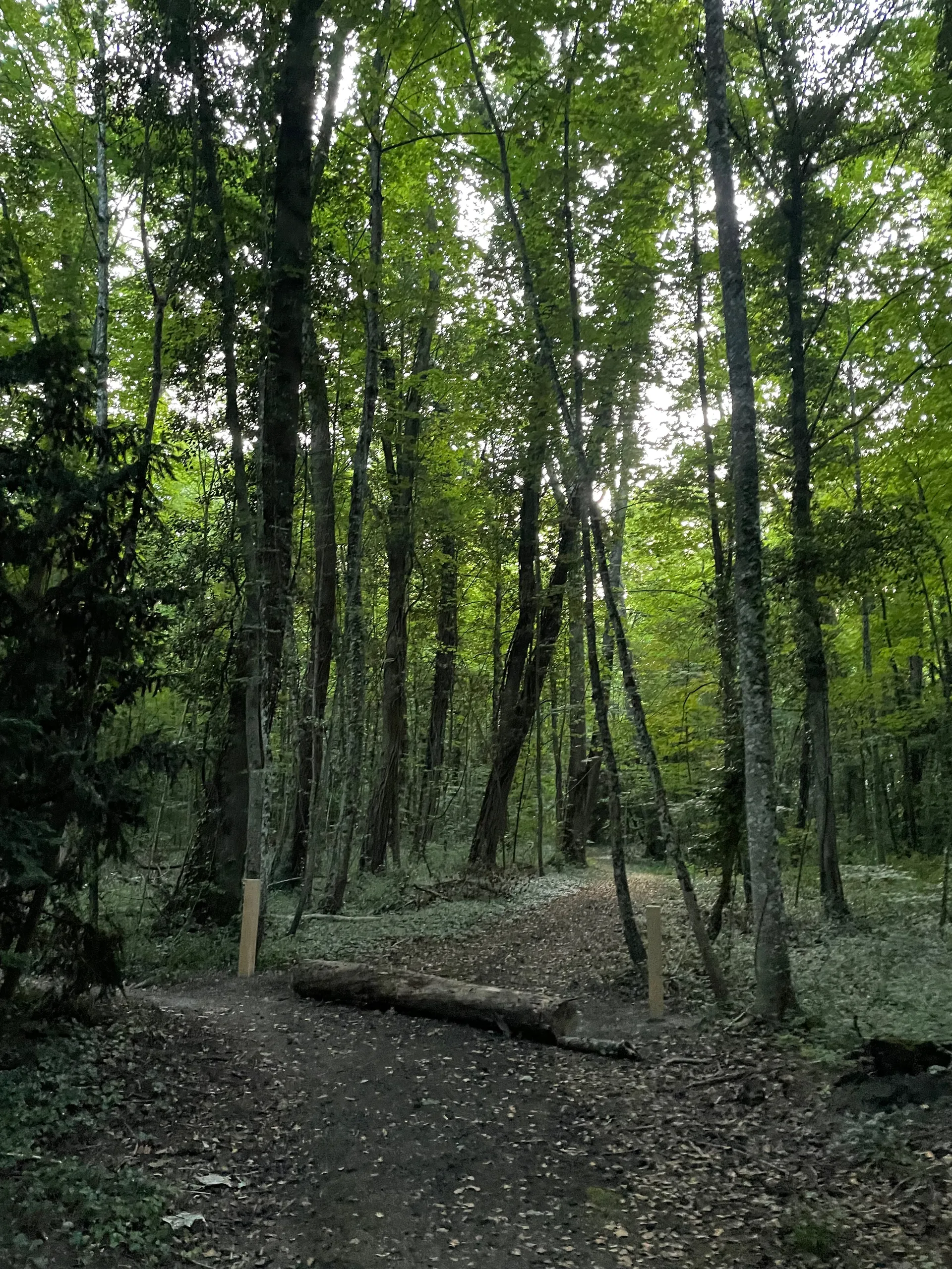 Chemin des Lacustres, Switzerland