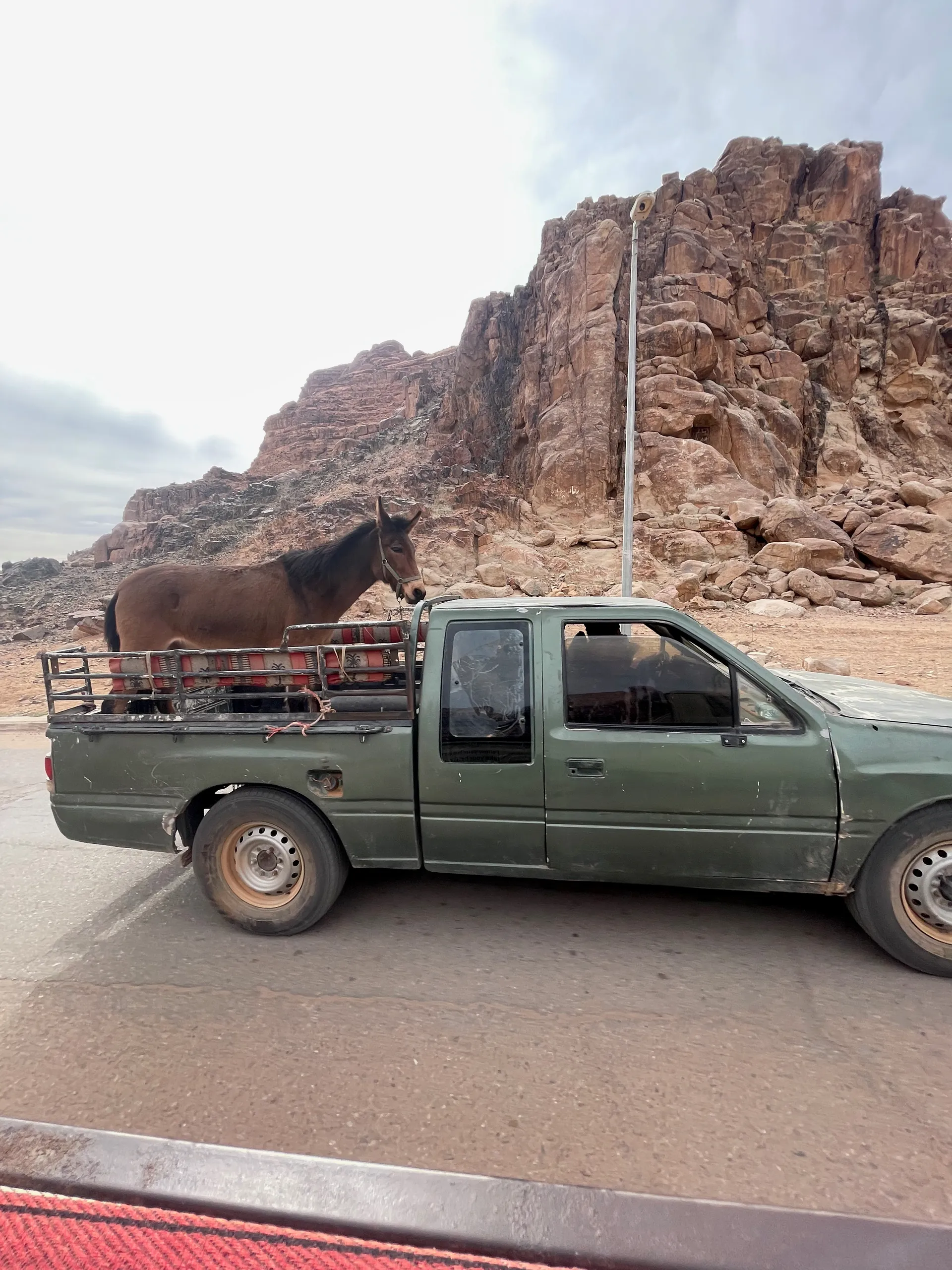 Wadi Rum Village, Jordan