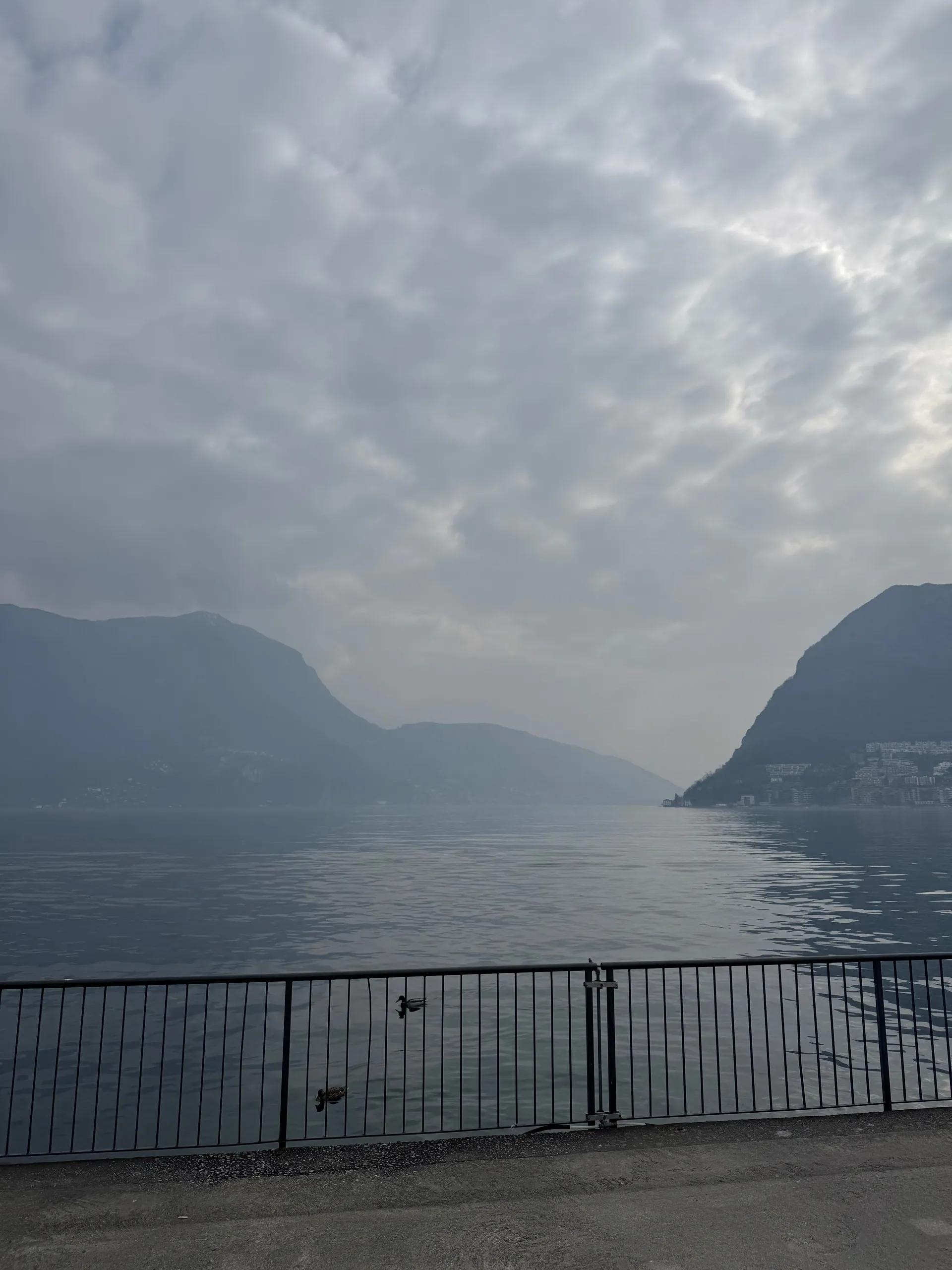 Riva Vincenzo Vela, Switzerland
