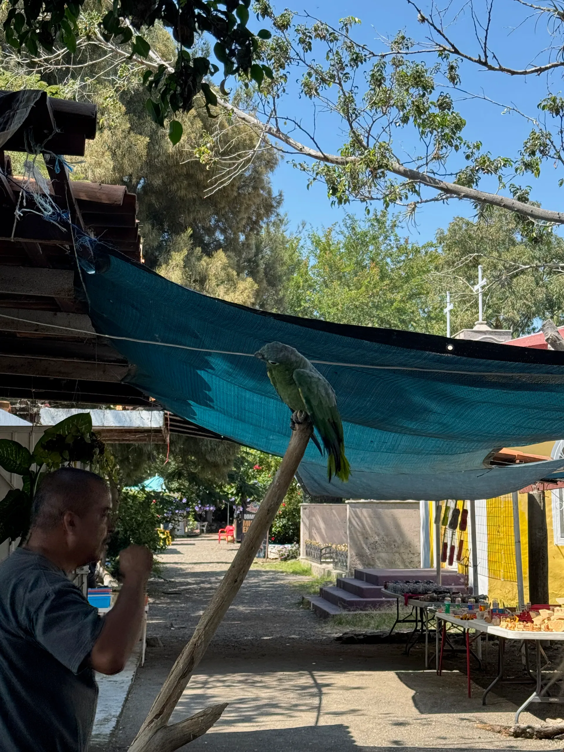 Mexico, Mexico