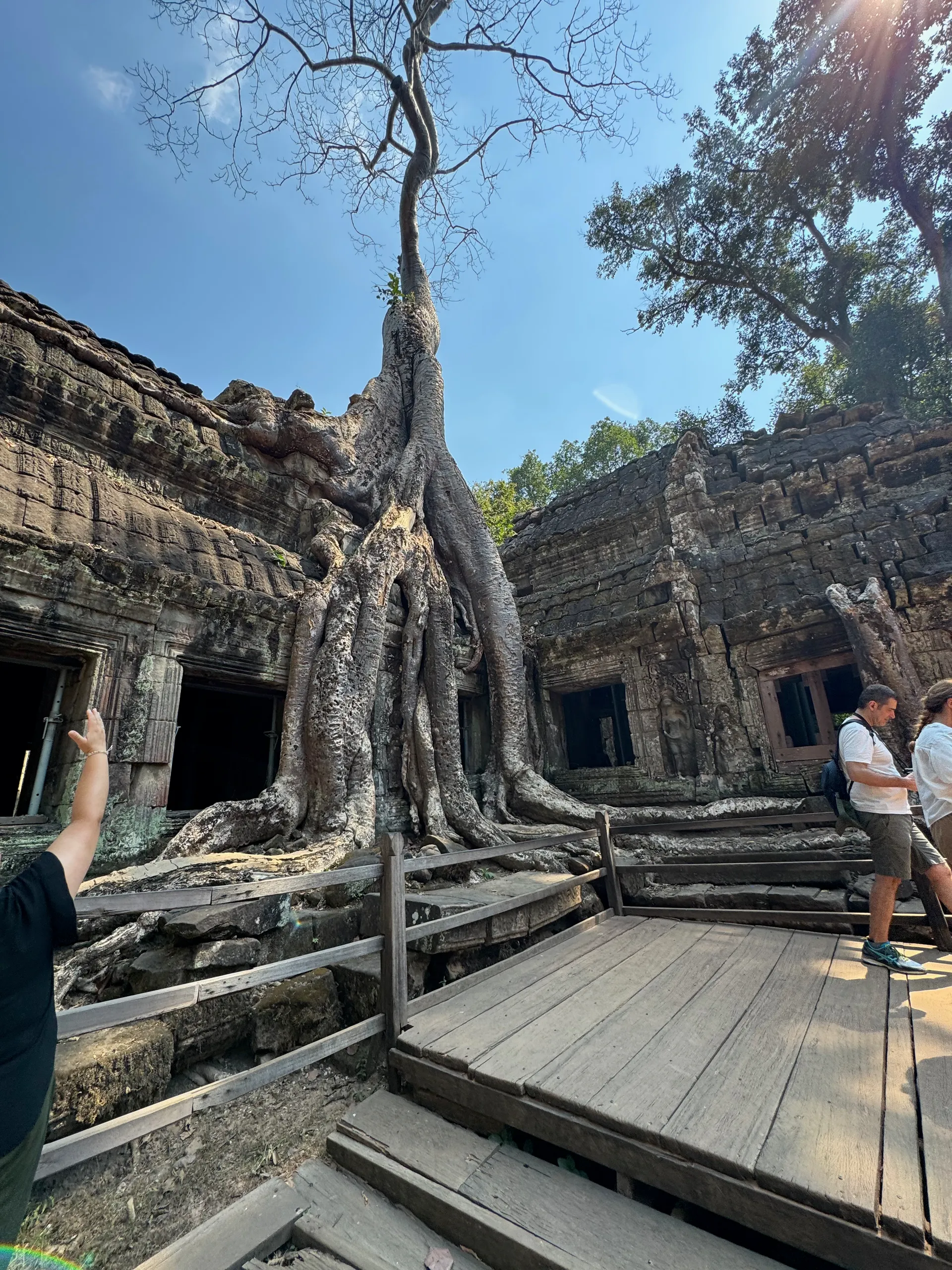 Dinosaur of Ta Prohm bas-relief, Cambodia