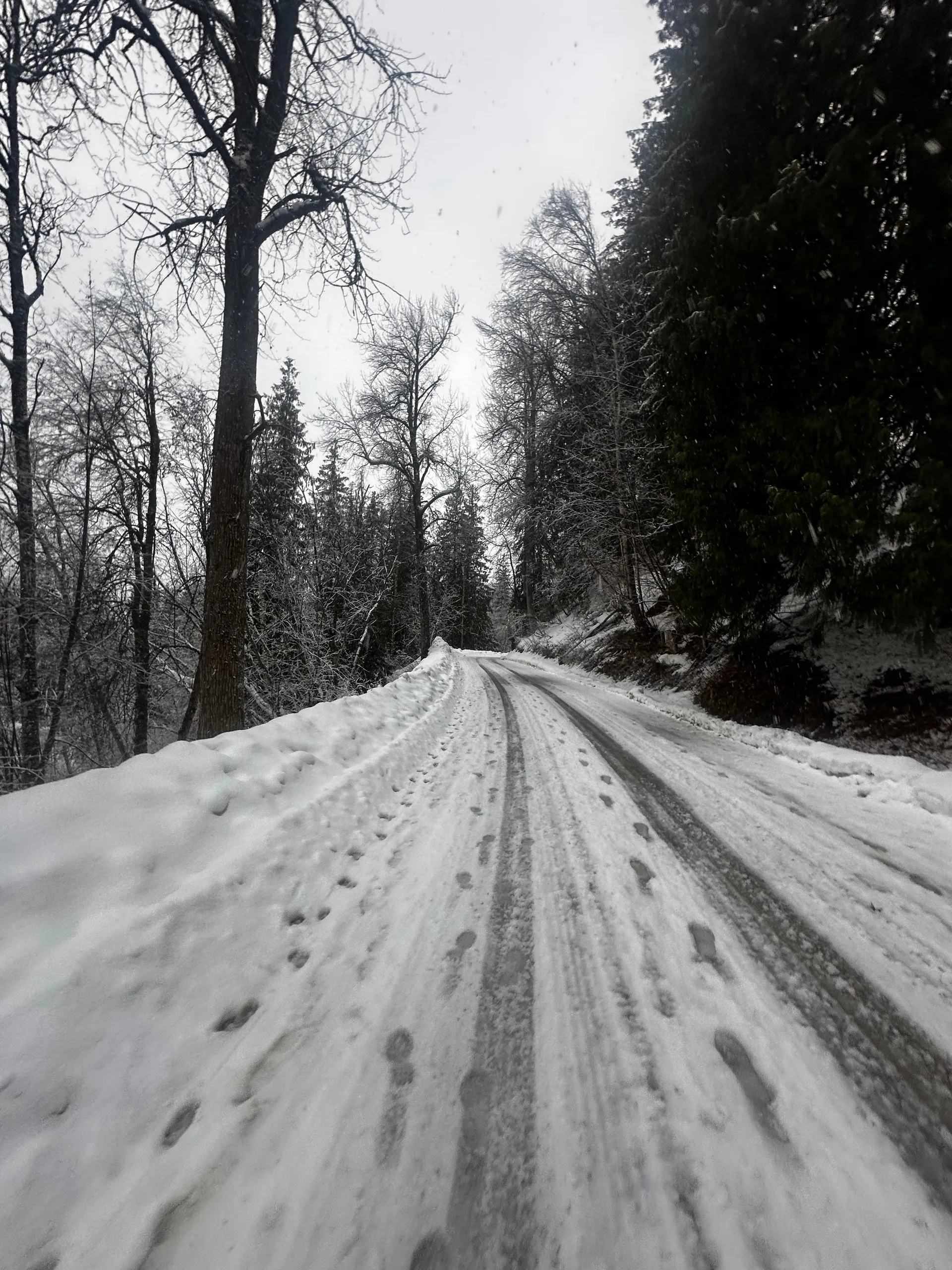 Revelstoke RV & Cabin Resort, Canada
