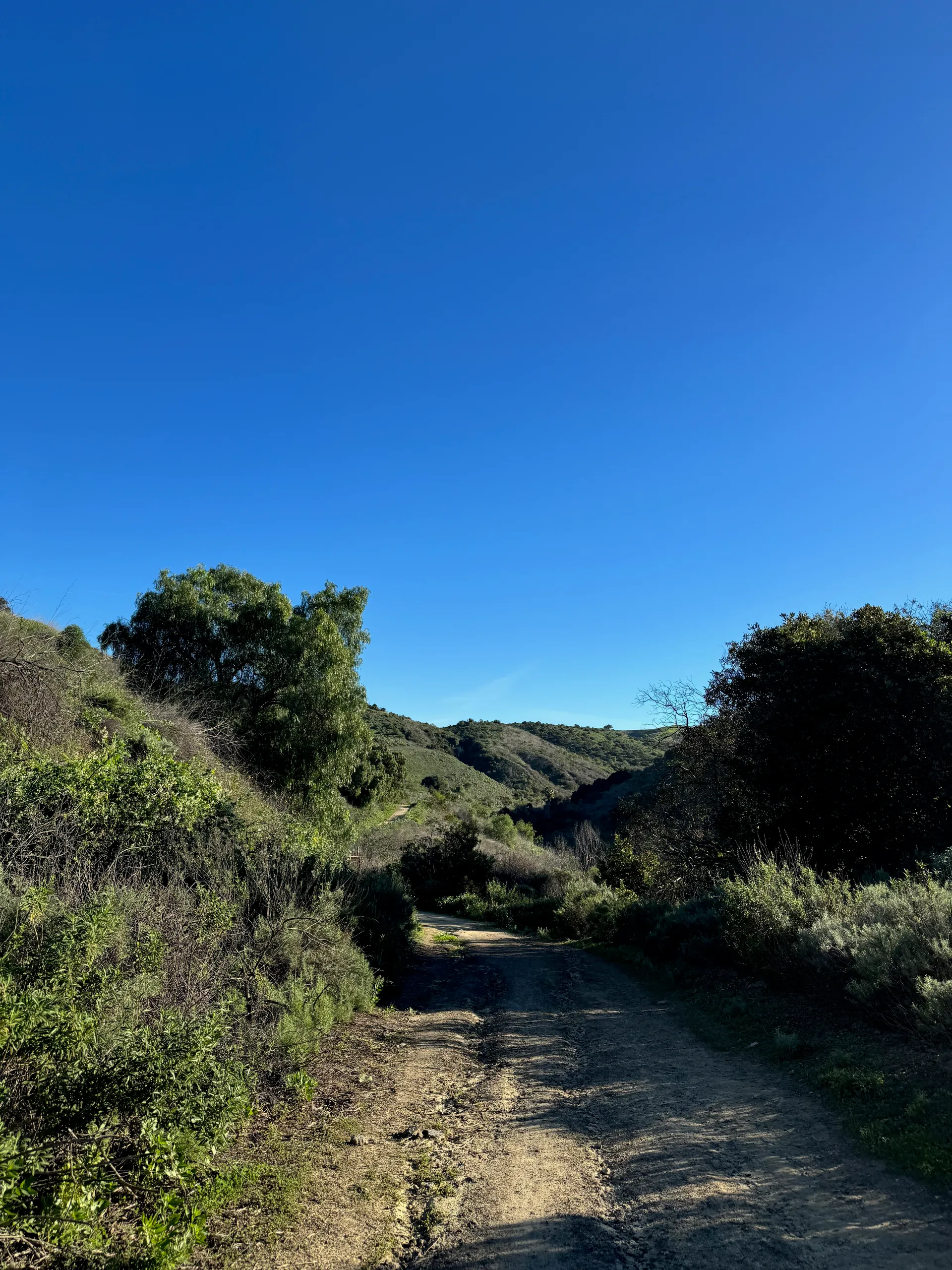 Arroyo San Miguel Trail, United States