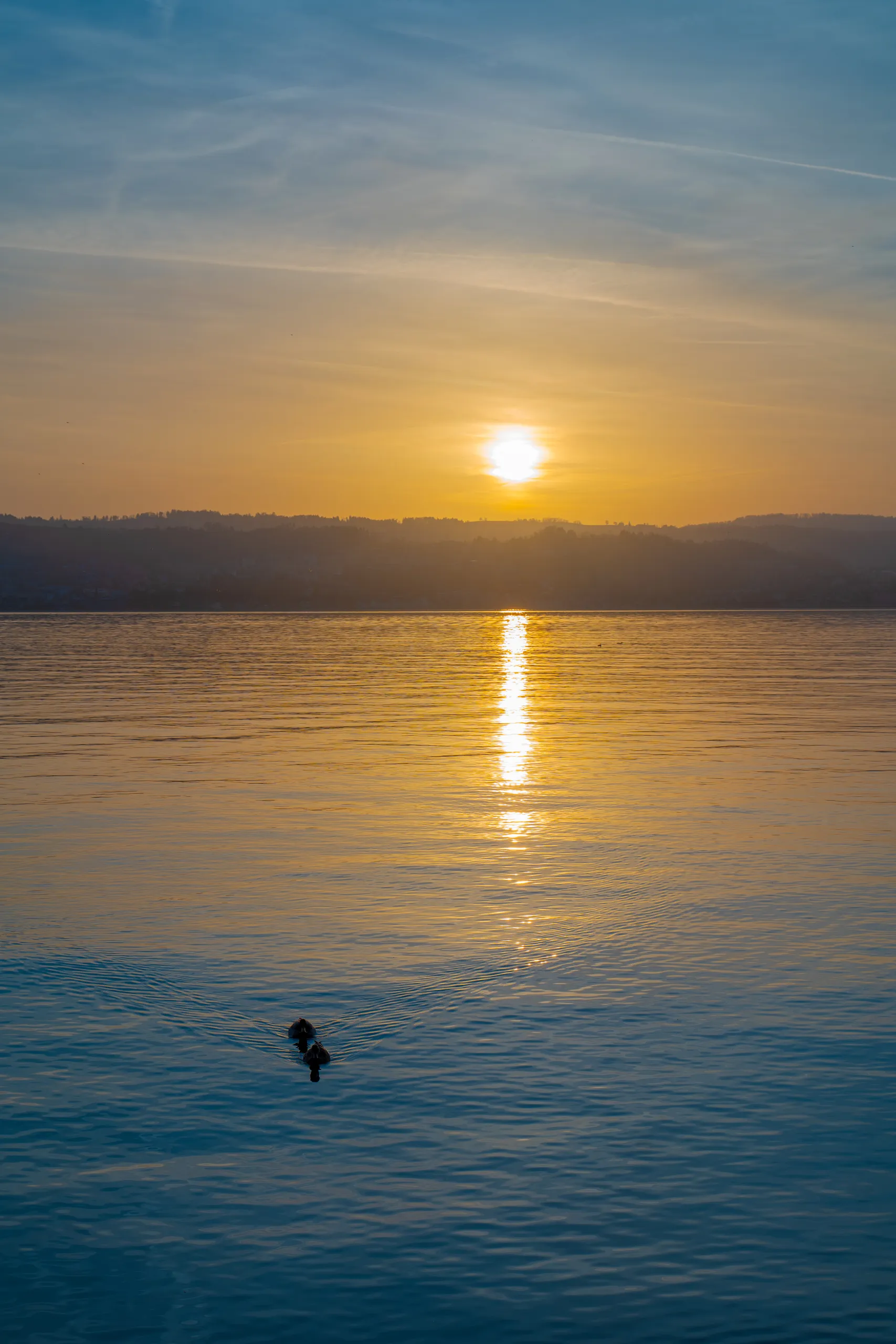 Wädenswil, Switzerland