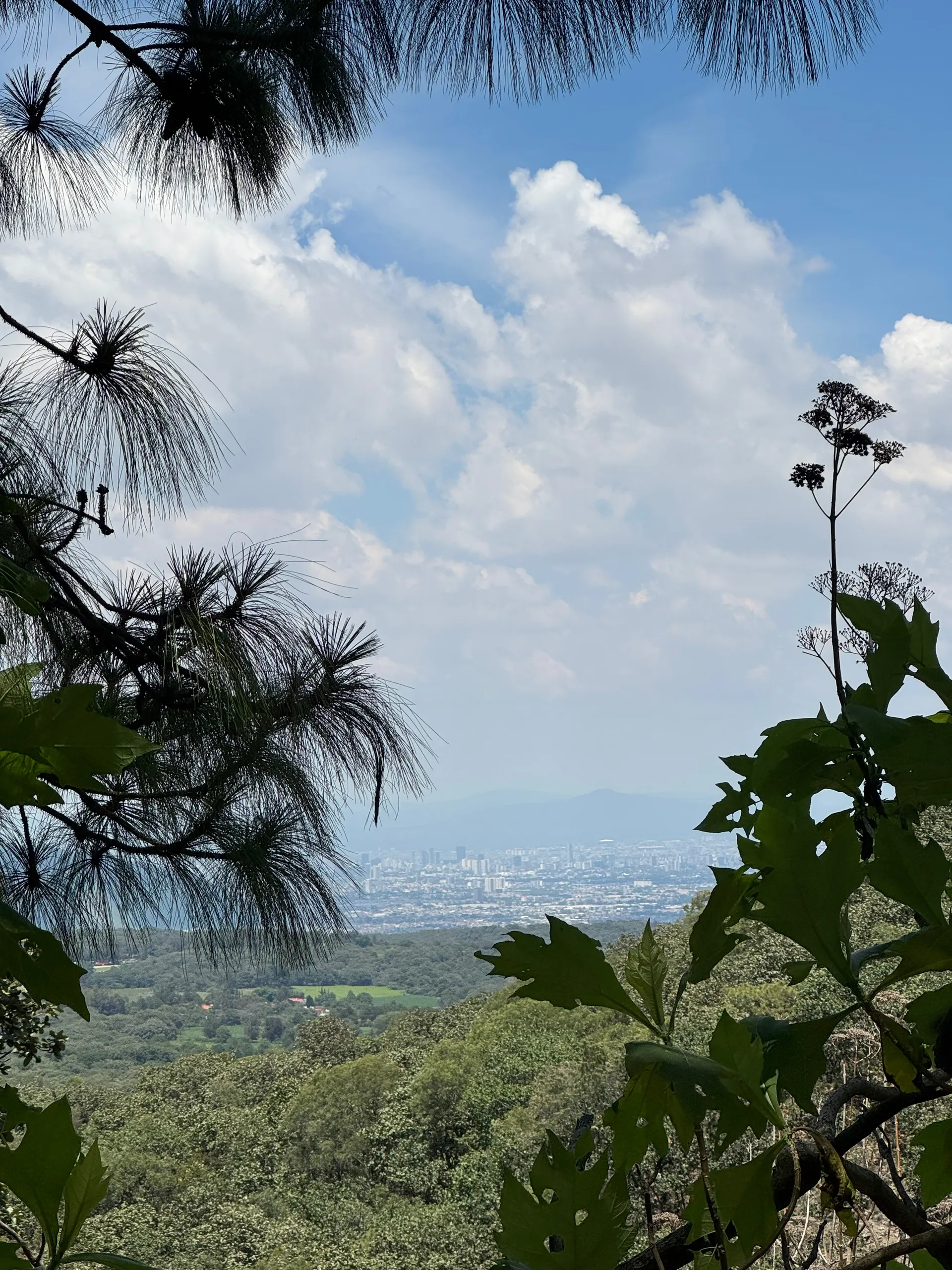Espinazo, Mexico
