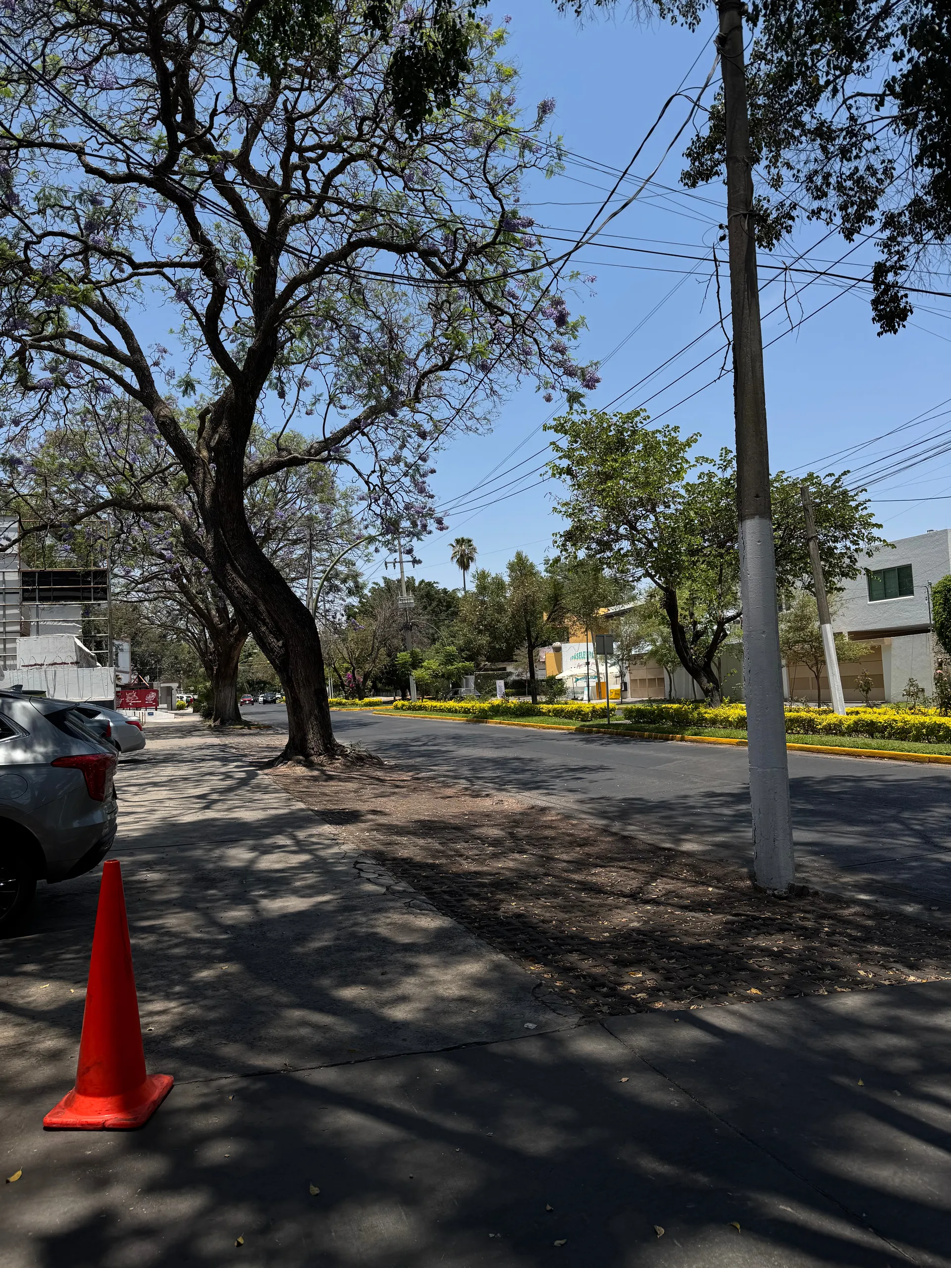 Avenida de las Rosas, Mexico