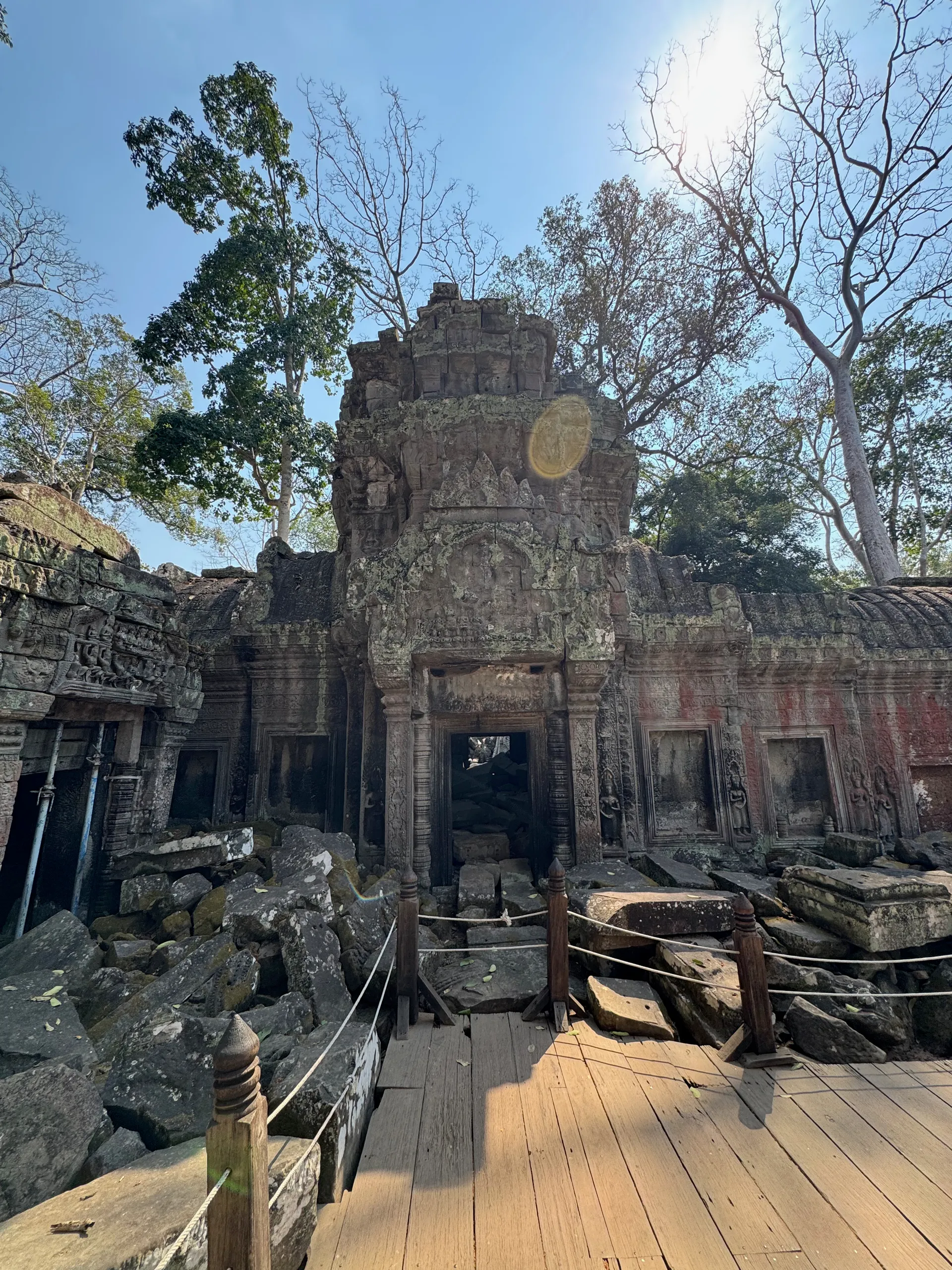 Dinosaur of Ta Prohm bas-relief, Cambodia