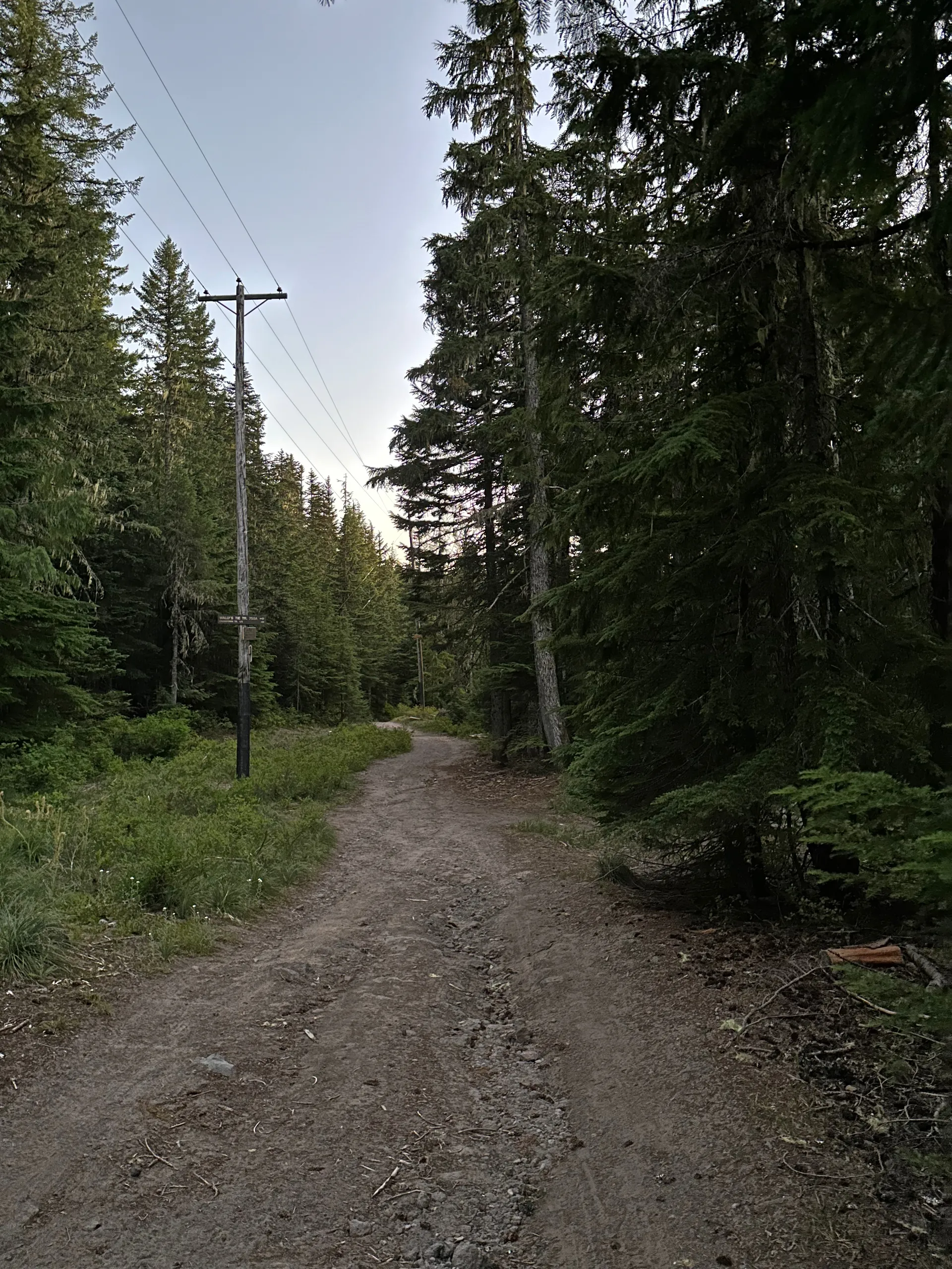 Skiway Trail #755B, United States